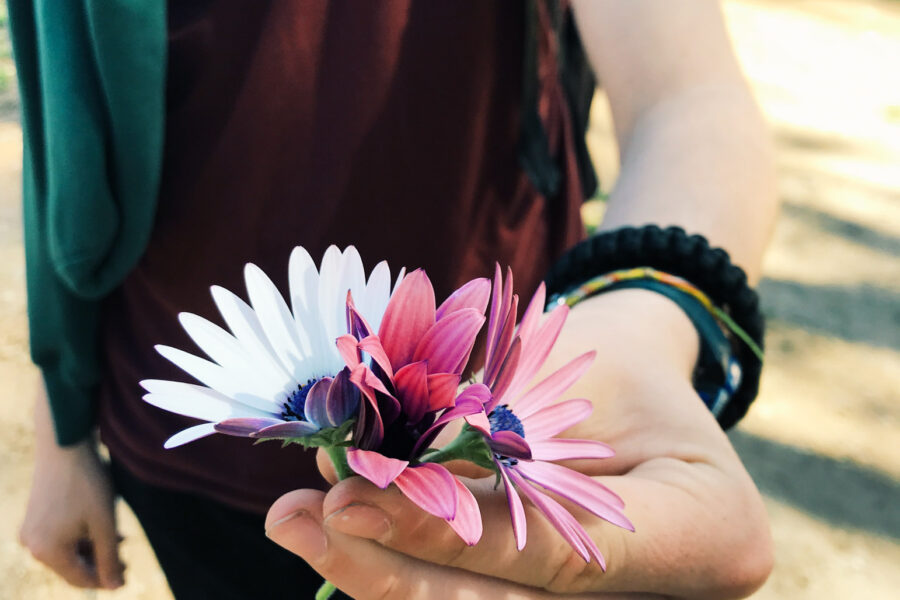 someone holding a purple and white flower.