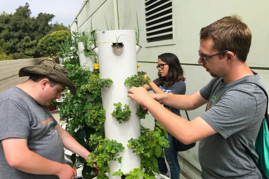three people pruning plants on a white cylindrical tower of plants outside.